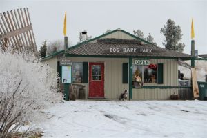 Winter at Dog Bark Park, photo by Wild Web West
